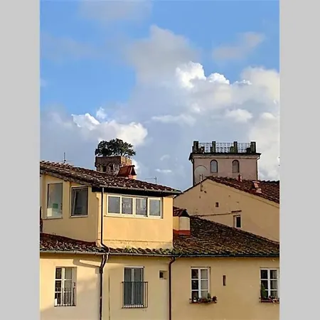 Apartment Il Mazzocchio In Piazza Anfiteatro Lucca